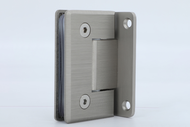 Glass Hinge